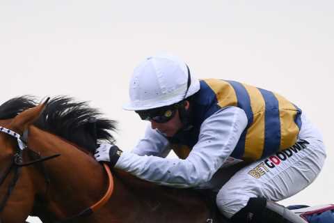 Charities share bumper £277,000 donation following Royal Ascot BGC pledge