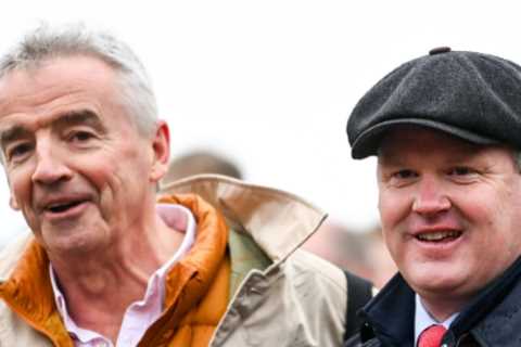 Gordon Elliott breaks the bank to buy most expensive horse sold this year