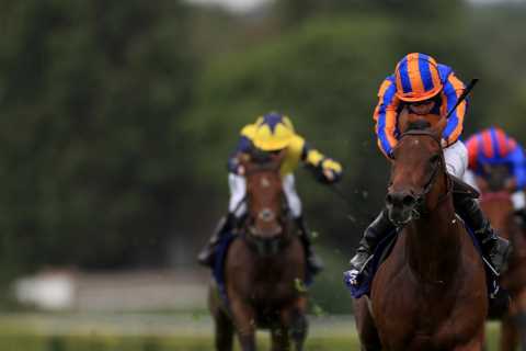 Paddington makes it six wins on the bounce with a thrilling win in Coral-Eclipse as punters hail ‘epic race’
