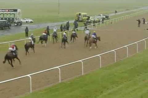 Dane O’Neill update after Wolverhampton race voided following jockey’s sickening fall
