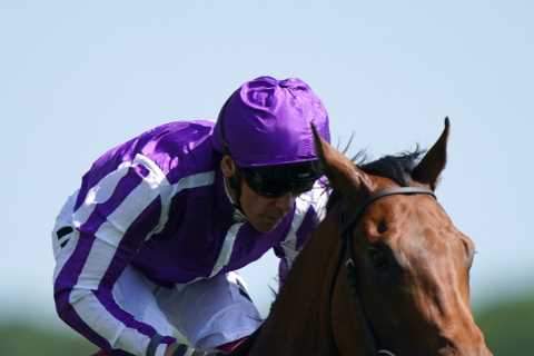 Can Little Big Bear roar back in the July Cup plus all my super Saturday best bets