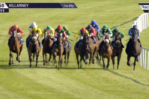 Jockey’s ‘disgusting’ debut ride lands him ten-day ban as punters left appalled by antics