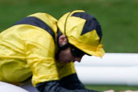 Newmarket runner’s bizarre headgear combo appears to make no sense – but is shrewd trainer onto something?