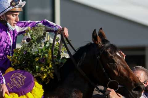 ‘Superstar’ horse a shock name on secret list of Aidan O’Brien runners no longer in training