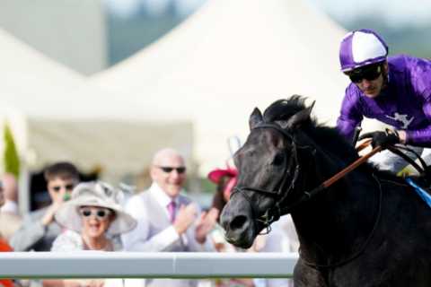Top football agent Kia Joorabchian trying to win the best King George ‘for 25 years’ with superstar horse