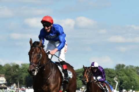 Epsom Derby and King George hero Adayar retired aged five as trainer Charlie Appleby says ‘he will be missed’