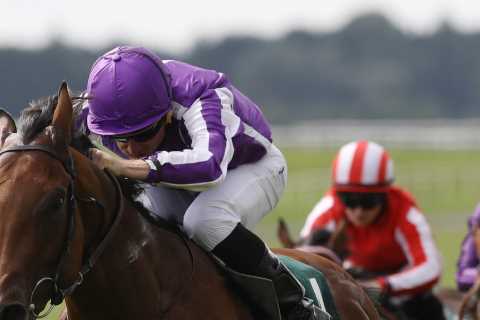 European champion horse Little Big Bear retired from racing aged three due to injury