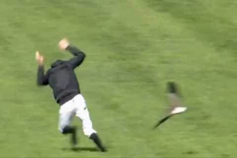 Jockey's Nightmarish Encounter with Attacking Birds on Racecourse