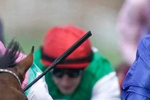 Jockey Jim Crowley hit with whopping 20-DAY ban and £10,000 fine for winning King George ride on Hukum