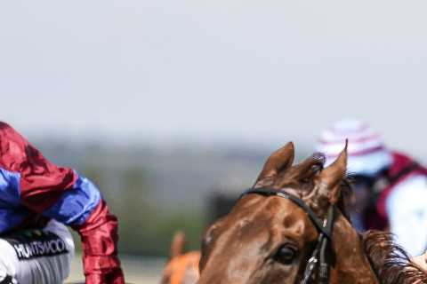 Goodwood Stewards’ Cup 2023 runner-by-runner guide and Templegate’s tip for bonkers 28-horse cavalry charge
