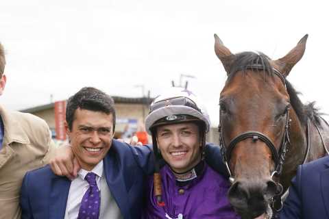 'Horse of a lifetime' romps to victory thanks to trainer's shrewd sourcing