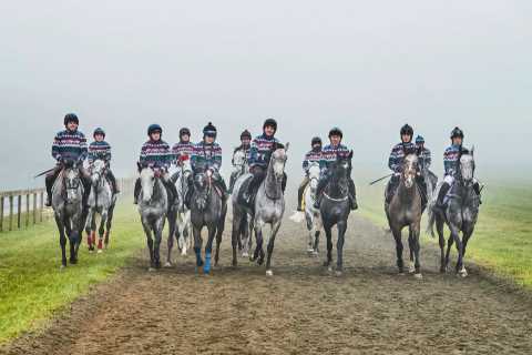 Saturday at Newmarket: The Grey Horse Handicap Takes Center Stage