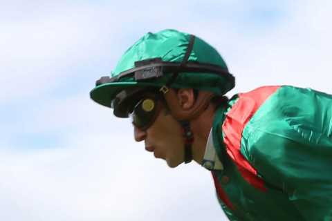 PUNTERS DISAPPOINTED AS ANOTHER TOP HORSE, VADENI, IS RETIRED AND SENT TO STUD AFTER A GLITTERING CAREER