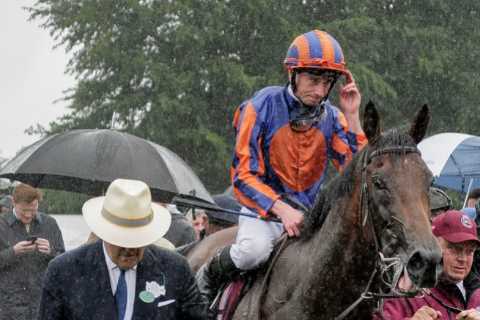 From humble beginning to best of his generation – 'amazing' Paddington all set for Juddmonte at York