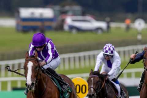 £2.5 Million Colt Diego Velazquez Impresses on Debut