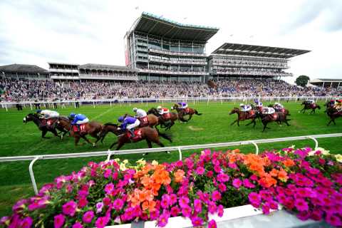 York Ebor Festival Welcomes Back World Pool and Offers £250k Placepot