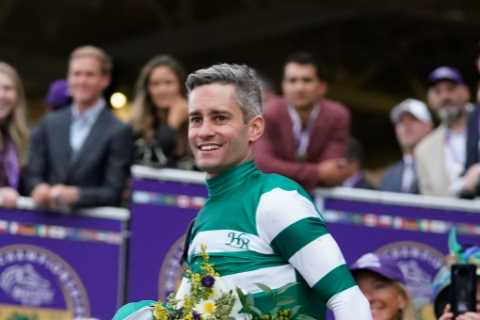 'World's Best Horse' Makes £24 Million in First Year at Stud