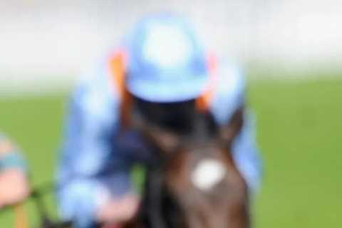 Millionaires, racing royalty and unbeaten champions – who’s next off conveyor belt of stars to win the Solario?