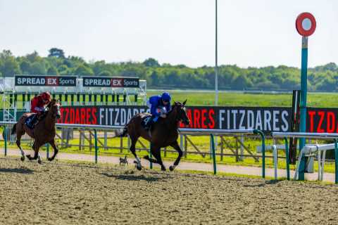 Military Order Returns to Action in Chester Stakes