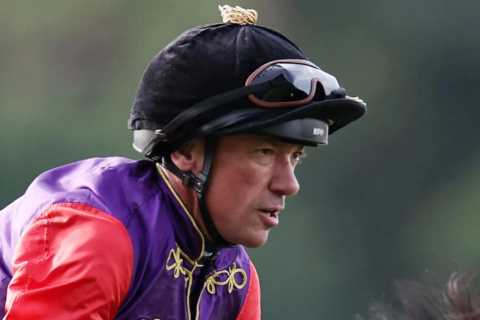 Camilla snatches 'exciting' horse from King Charles and sends him to new trainer