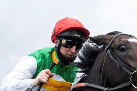 Rags-to-riches superstar horse Pyledriver retired aged six due to injury