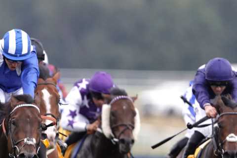 Haydock Saturday Placepot: £150,000 up for grabs with Tote's mega cash offer