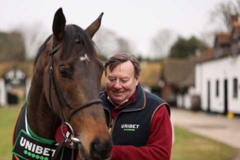 Nicky Henderson Provides Constitution Hill Update: Chasing Ruled Out