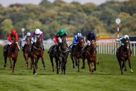 Get Ready for the St Leger Festival at Doncaster with Templegate’s Tote Placepot Picks!