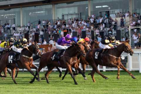Win £150,000 in the Tote Placepot at Doncaster this Saturday!