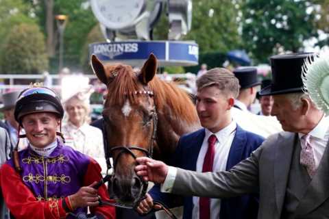Desert Hero: Can Queen Elizabeth's horse win big at the St Leger?