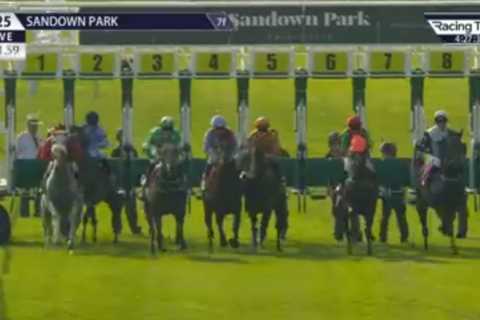 Blindfolded Horse Wins Race After 'Going Off to Catch a Bus' in Amazing Sandown Contest