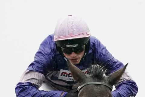 Superstar chaser Cyrname dead aged 11 as devastated punters remember heroic horse who ended Altior's record streak