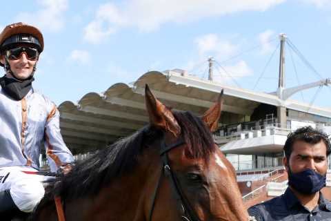 Ayr Gold Cup: The Ultimate Guide to the Runners and Riders