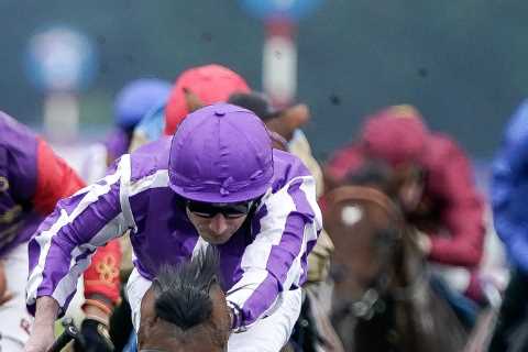 Templegate's 9-1 Arc de Triomphe tip dominates rivals