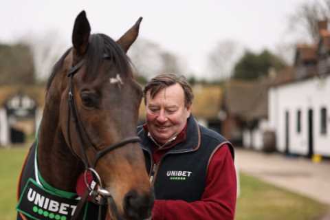 Champion Hurdle Showdown: Constitution Hill Ready to Rock and Roll
