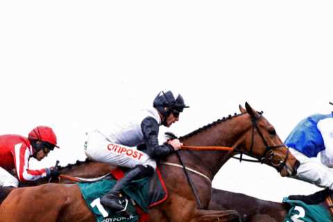 Cheltenham Festival 2024: Everything You Need to Know!