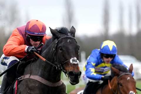 Harry Fry to Make Late Decision on Gidleigh Park’s Cheltenham Festival Target
