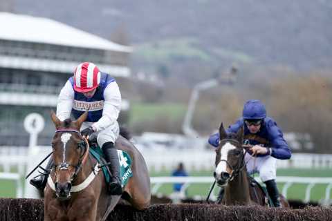 Harry Redknapp’s 25-1 Horse Poised to Win Big at Cheltenham Festival