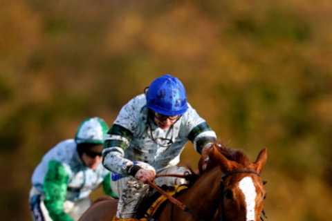Oldest Ever Champion Hurdle Winner Could Emerge Amid Health Scare