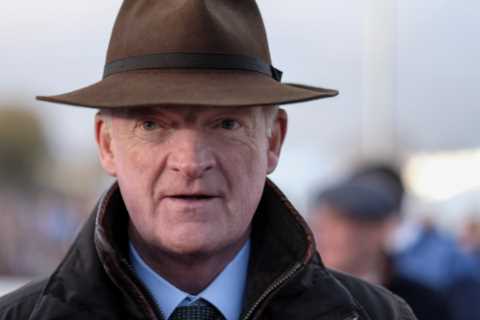 Over 120 Cheltenham Festival Horses Tested for Drugs in Major Anti-Doping Operation