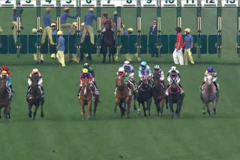 Stubborn Horse Banned from Racing After Costing Punters £17m