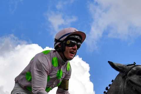 AP McCoy Tips Lossiemouth as the One to Watch at Cheltenham