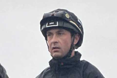 Cheltenham Festival: Nico de Boinville to the Rescue for Constitution Hill