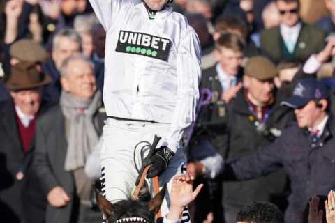 Constitution Hill OUT of Cheltenham Festival confirms ‘very sad’ Nicky Henderson