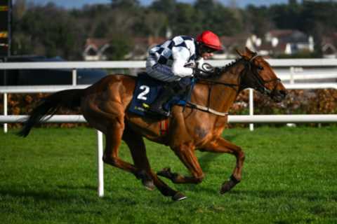 All Change in Cheltenham Festival Markets as Punters Fret Over Willie Mullins Horse
