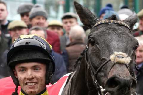 Cheltenham Festival Blow as Marine Nationale Withdraws from Arkle