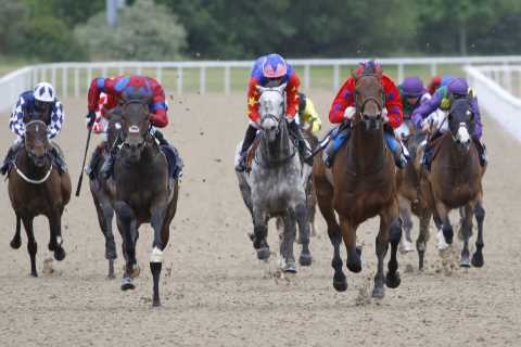 Horse Racing Punter Wins ‘Astonishing’ £90,000 from £2 Bet at Wolverhampton