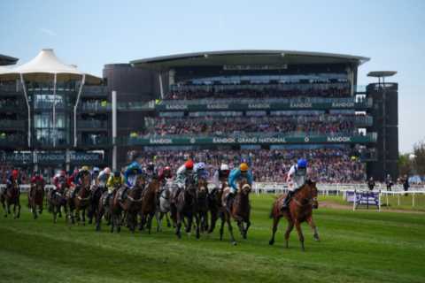 Grand National Favorites Shift and Six Horses Withdraw from £1million Race