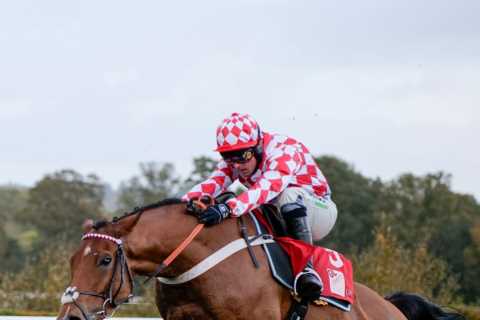 Ben Pauling confident his Cheltenham Festival NAP is ready for action