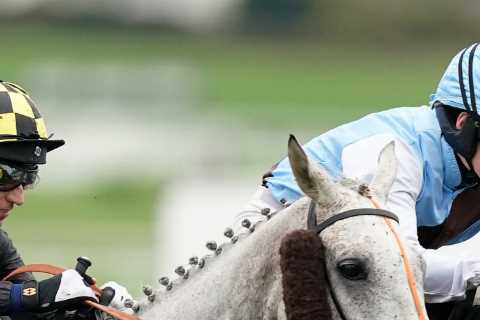 Tragedy Strikes as Cheltenham Horse Highland Hunter Dies Just Days After Leading Jockey's Funeral